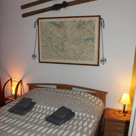 Apartment Le Savoisien *
