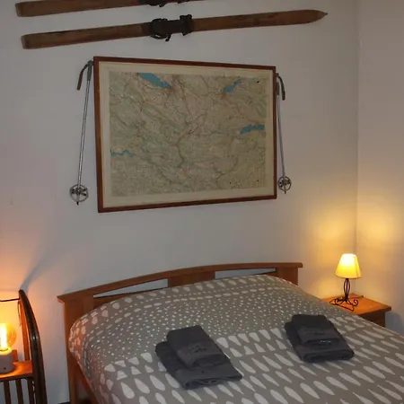 Le Savoisien Apartment *